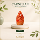Certified Carnelian Flame – Crystal Flame Sculpture in Different Sizes for Home Décor, Meditation & Spiritual Gifting