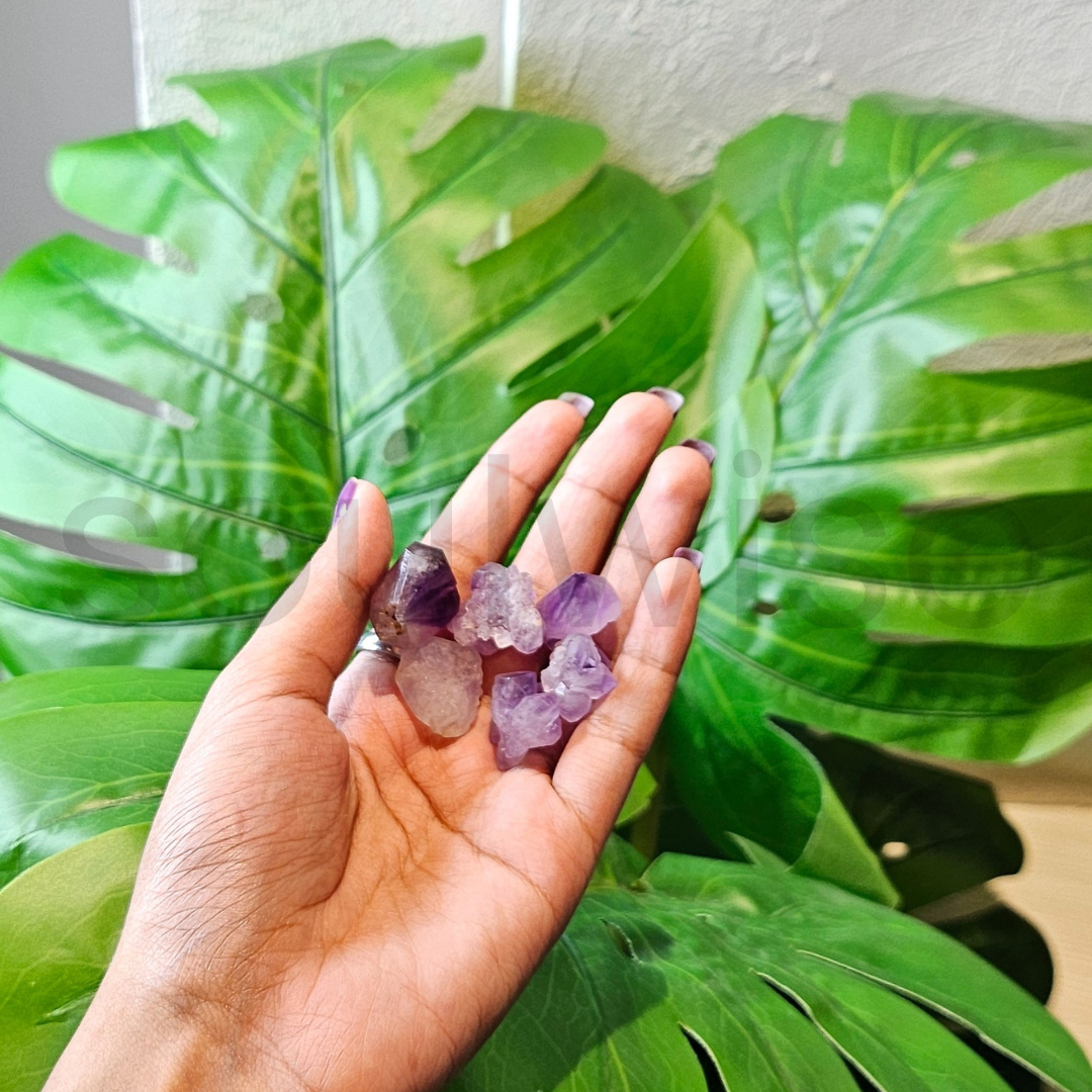 Amethyst Crystal Set of 6 – Includes Rough Points, Clusters & Natural Tumbled Stones