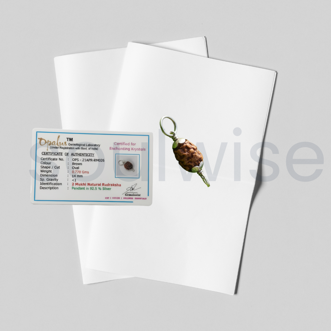 Original 2 Mukhi Indonesian Rudraksha Silver Pendant (Without Chain) – Do Mukhi Harmony & Unity Bead – Indonesia Origin