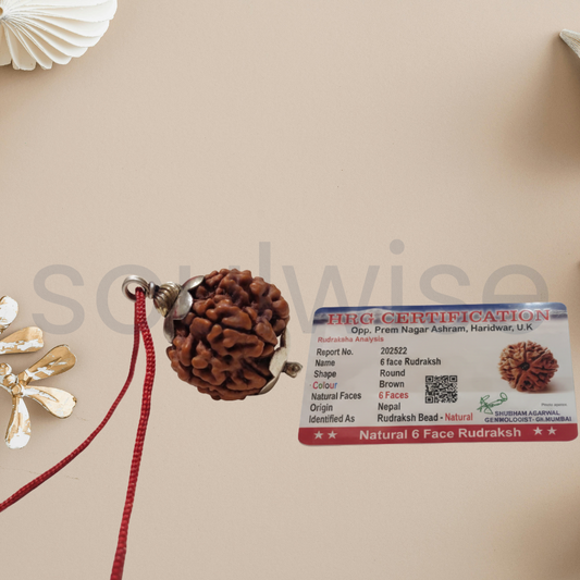 6 Mukhi Rudraksha Silver Pendant – Authentic Nepalese Origin Bead for Harmony, Health & Positive Energy