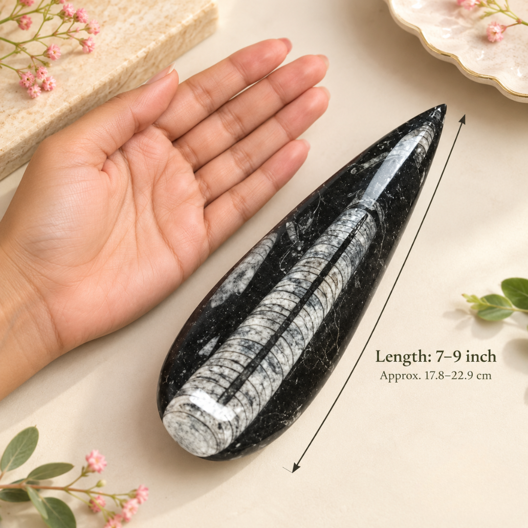 Kuber Stone 7–9 Inch – Symbolic Prosperity Stone for Home Mandir, Office Display & Spiritual Gifting