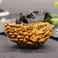 Natural 1 Mukhi Rudraksha (Kaju Shape) | Ek Mukhi Rudraksha for Peace, Focus & Spiritual Growth | Energized & Ready to Wear.