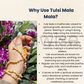 Soulwise Handcrafted Tulsi Jaap Mala 108 Beads – Traditional Prayer Beads Necklace for Devotion & Meditation