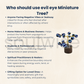 Soulwise Evil Eye Miniature Tree  | abletop Spiritual Showpiece for Office, Living Room, Gift Use.
