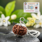 9 Mukhi Rudraksha Silver Pendant – Certified Nepalese Origin Bead for Strength, Protection & Positive Energy