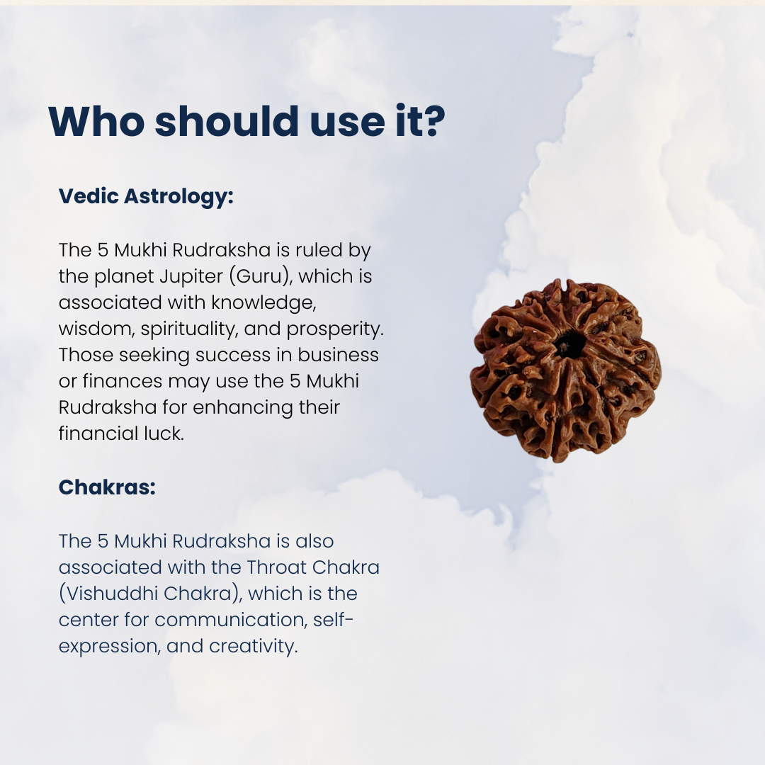 5 Mukhi Rudraksha, Certified