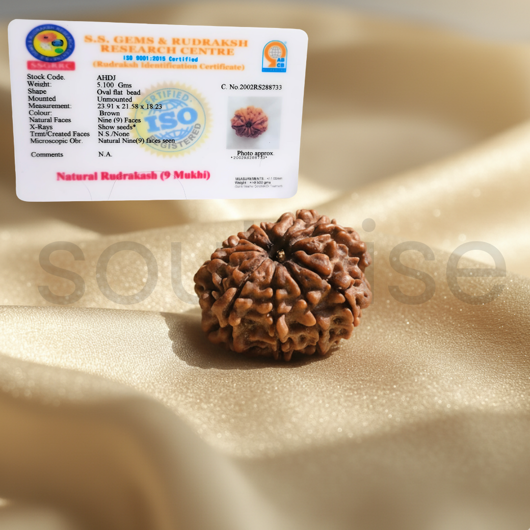 Natural 9 Mukhi Rudraksha • Certified Navan Mukhi Bead • Spiritual Protection, Courage & Energy Healing • For Men & Women