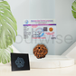 Natural 6 Mukhi Rudraksha (Nepali) – Medium Size | Six Face Rudraksha with X-Ray Report | Energized & Ready to Wear