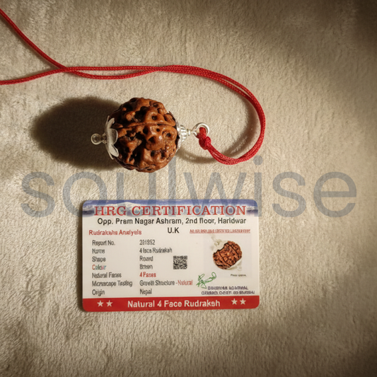 Original 4 Mukhi Nepali Rudraksha Silver Pendant (Without Chain) – Chaar Mukhi Wisdom & Knowledge Bead