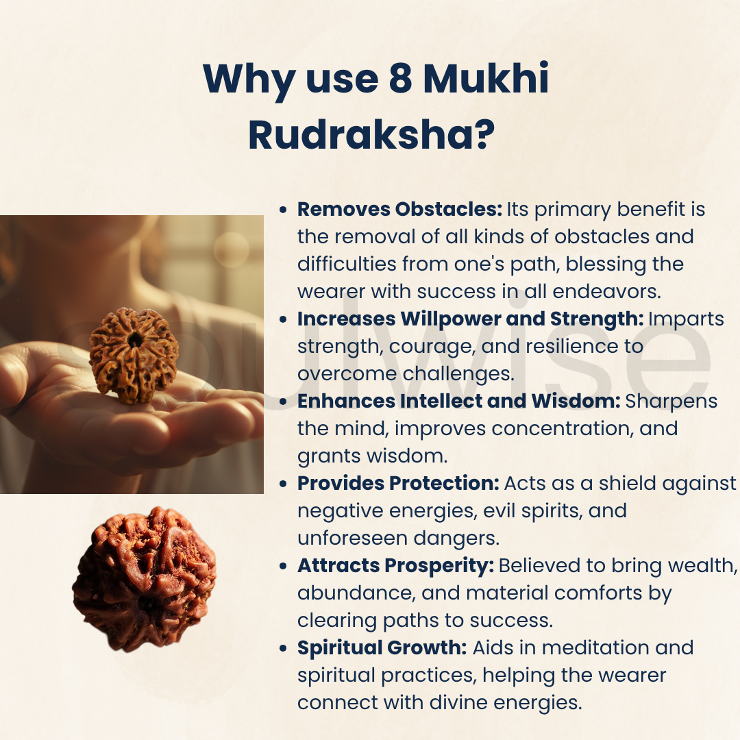8 Mukhi Nepali Rudraksha Bead — Natural, Lab‑Certified, Spiritual Pendant / Mala Bead