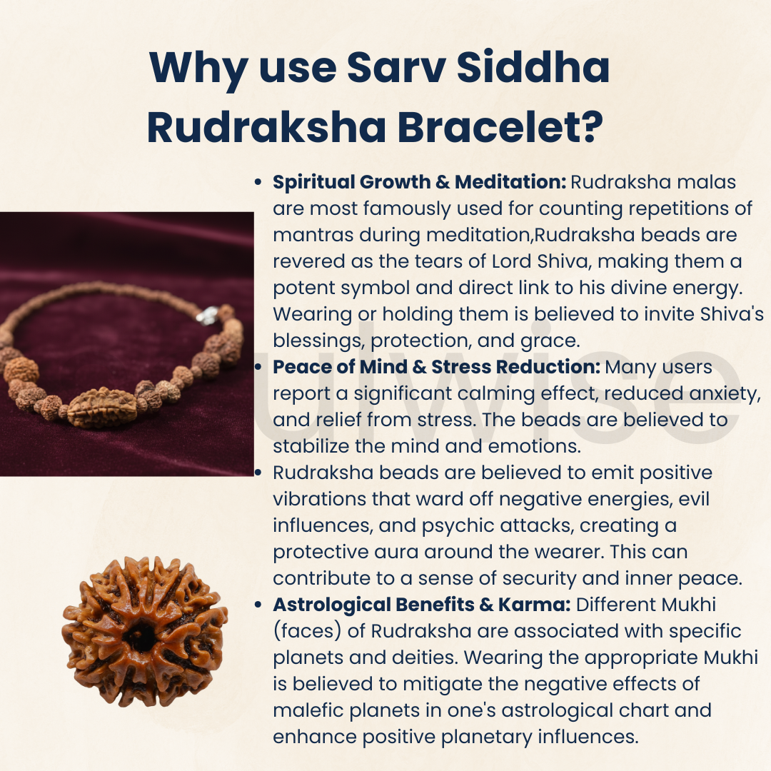 Indonesian 1-14 Mukhi Rudraksha Bracelet | Natural Multi-Face Rudraksha for Spiritual Growth, Protection & Positivity | Energized & Ready to Wear
