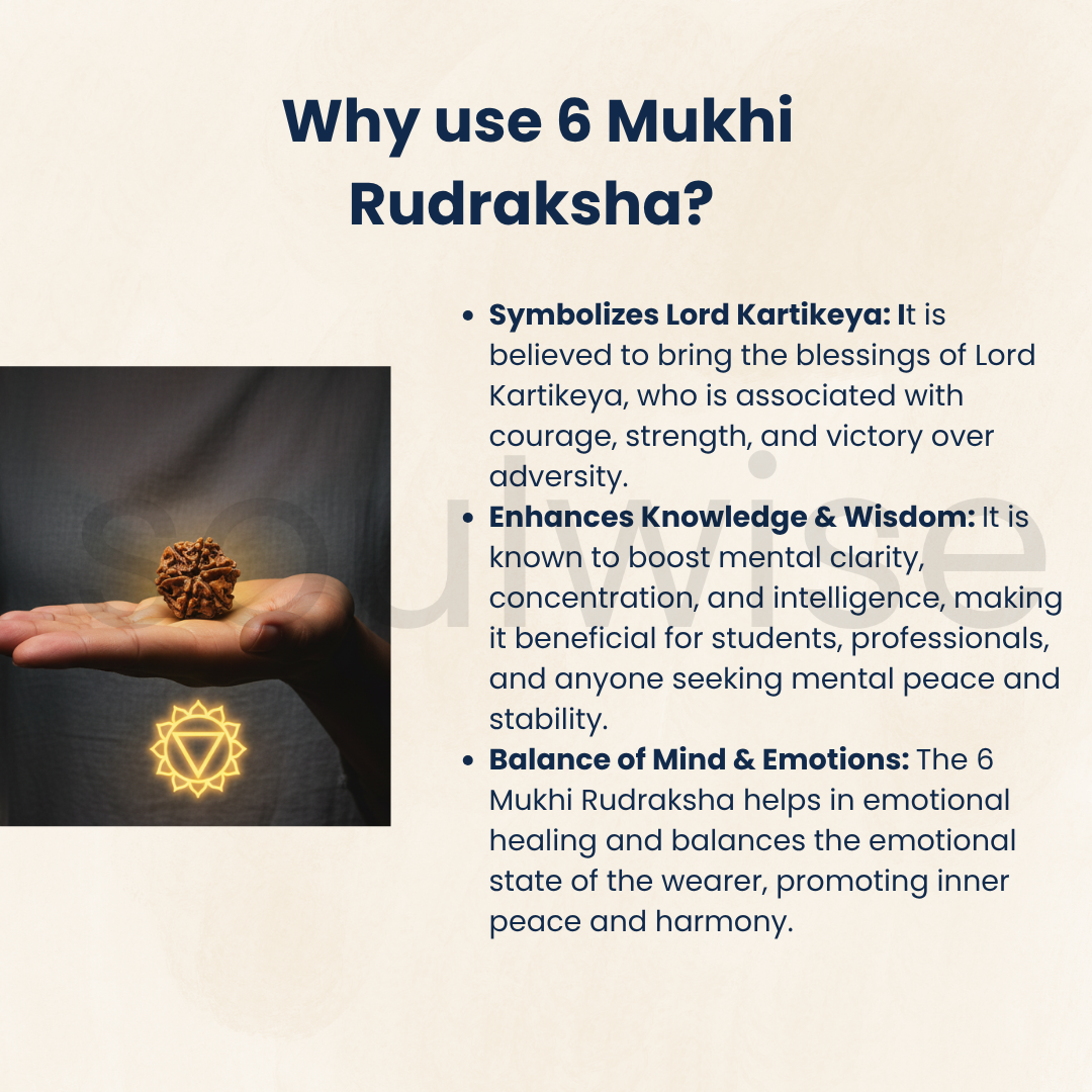 6 मुखी रुद्राक्ष, प्रमाणित