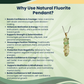 Fluorite Crystal Spiral Pendant – Natural Healing Stone Necklace for Chakra Balance, Peace, Joy, Creativity & Spiritual Growth