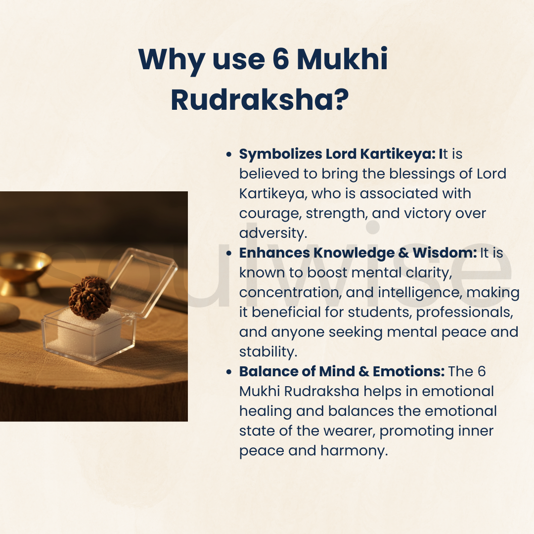 Soulwise Premium 6 Mukhi Nepali Rudraksha | Natural & Lab Certified | Energized for Harmony & Prosperity | Comes in Box  – Medium Size.