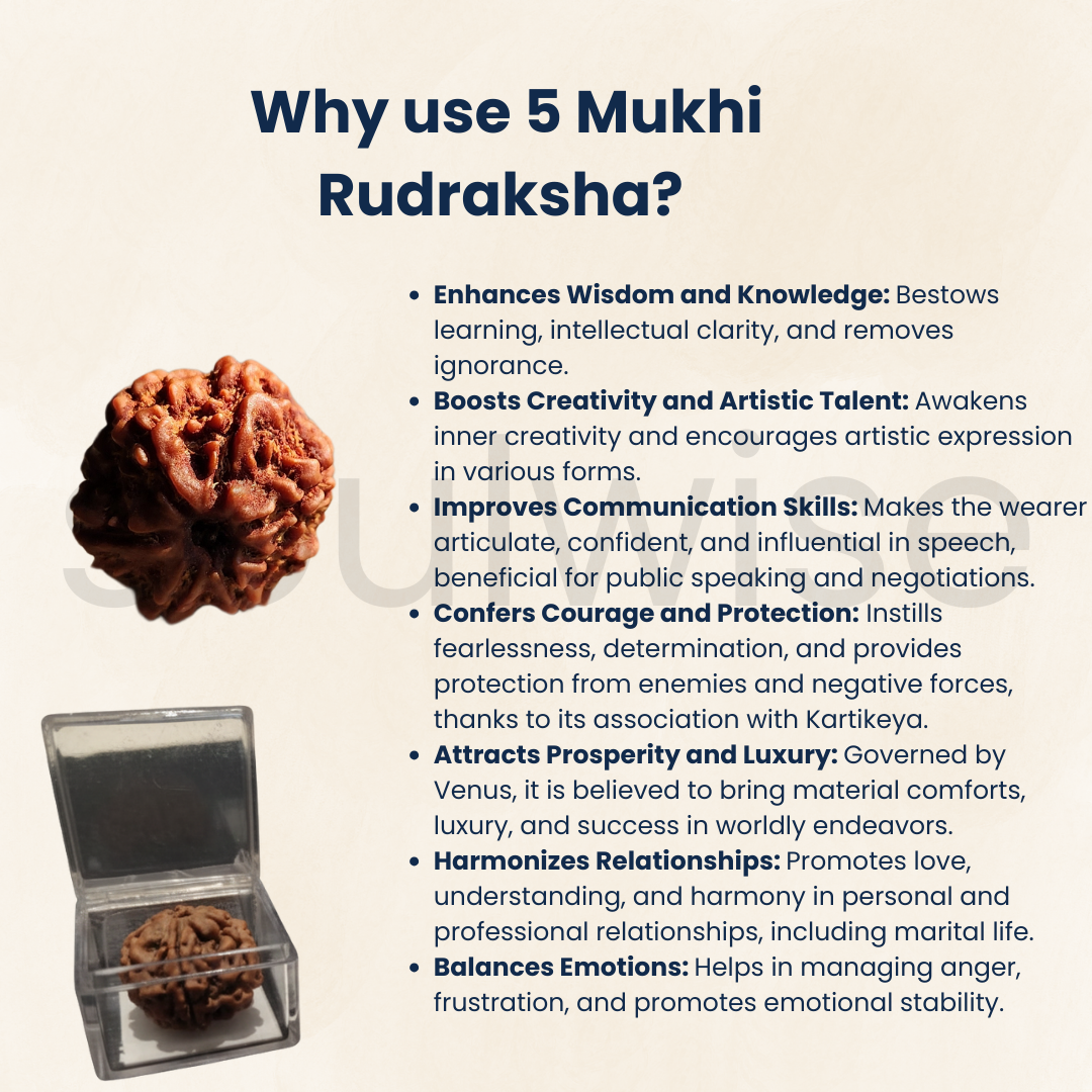 Soulwise Premium 5 Mukhi Rudraksha | Natural & Lab Certified | Energized for Health & Spiritual Power | Comes in Box.