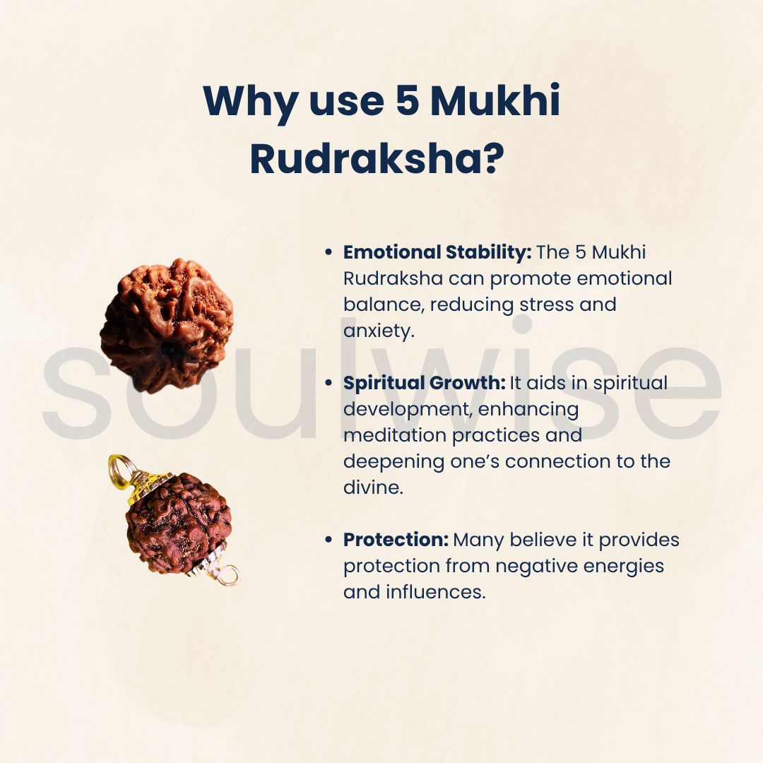 Certified 5 Mukhi Rudraksha Pendant for Men & Women | Natural Panch Mukhi Bead with Silver-Plated Holder.