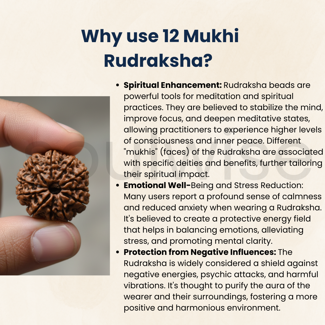 Natural 12 Mukhi Rudraksha (Nepal Origin) | Twelve Face Rudraksha for Confidence, Leadership & Success | Certified & Energized