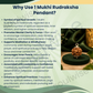 1 Mukhi Rudraksha Pendant Necklace – Sacred Bead for Spiritual Growth, Focus & Divine Blessings