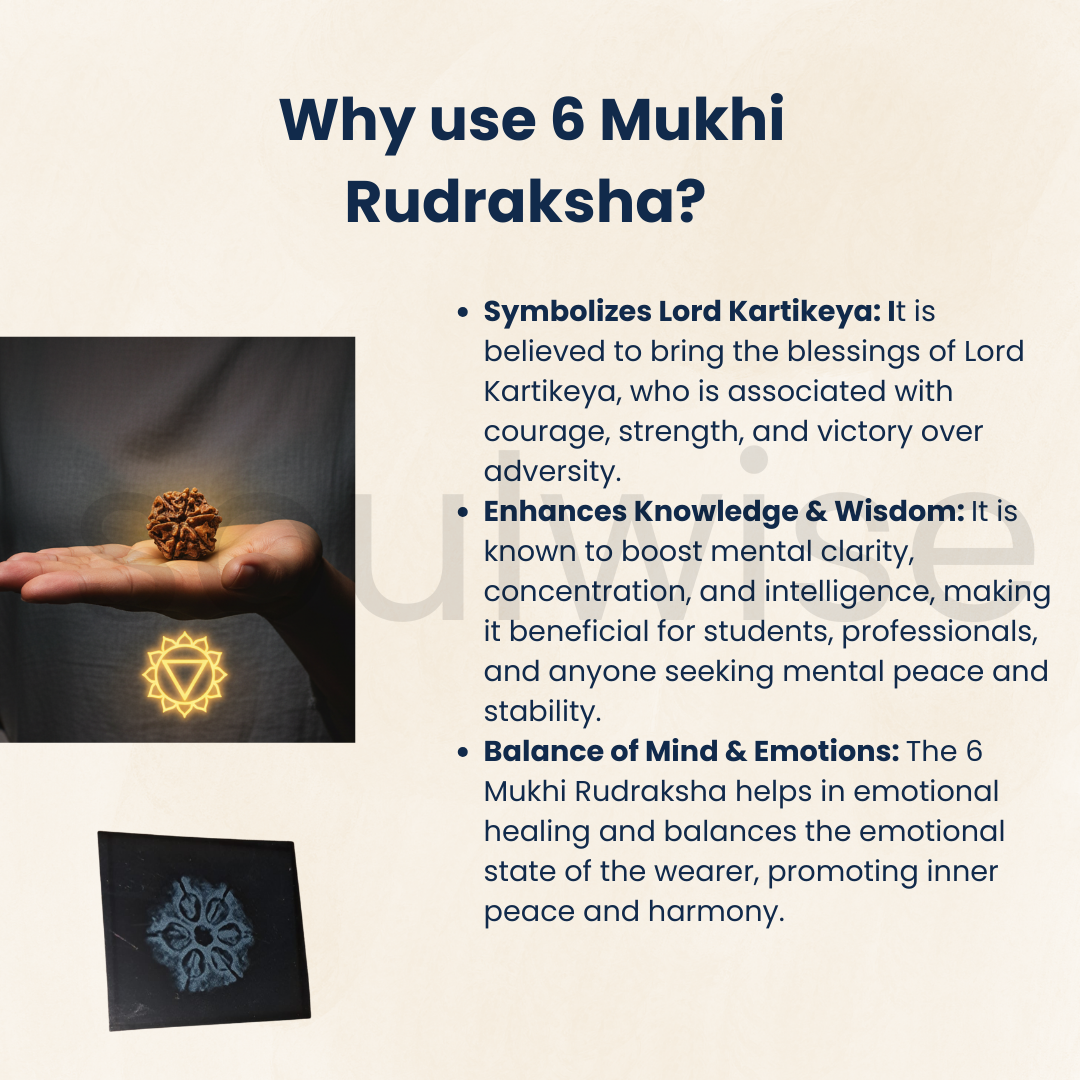 Natural 6 Mukhi Rudraksha (Nepali) – Medium Size | Six Face Rudraksha with X-Ray Report | Energized & Ready to Wear