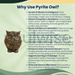 Natural Pyrite Owl – Crystal Owl for Wisdom, Wealth, Protection & Positive Energy