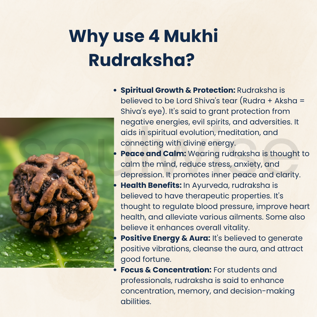 4 Mukhi Nepali Rudraksha Bead — Lab-Certified Authentic, Spiritual Pendant / Mala Bead / Meditation Bead