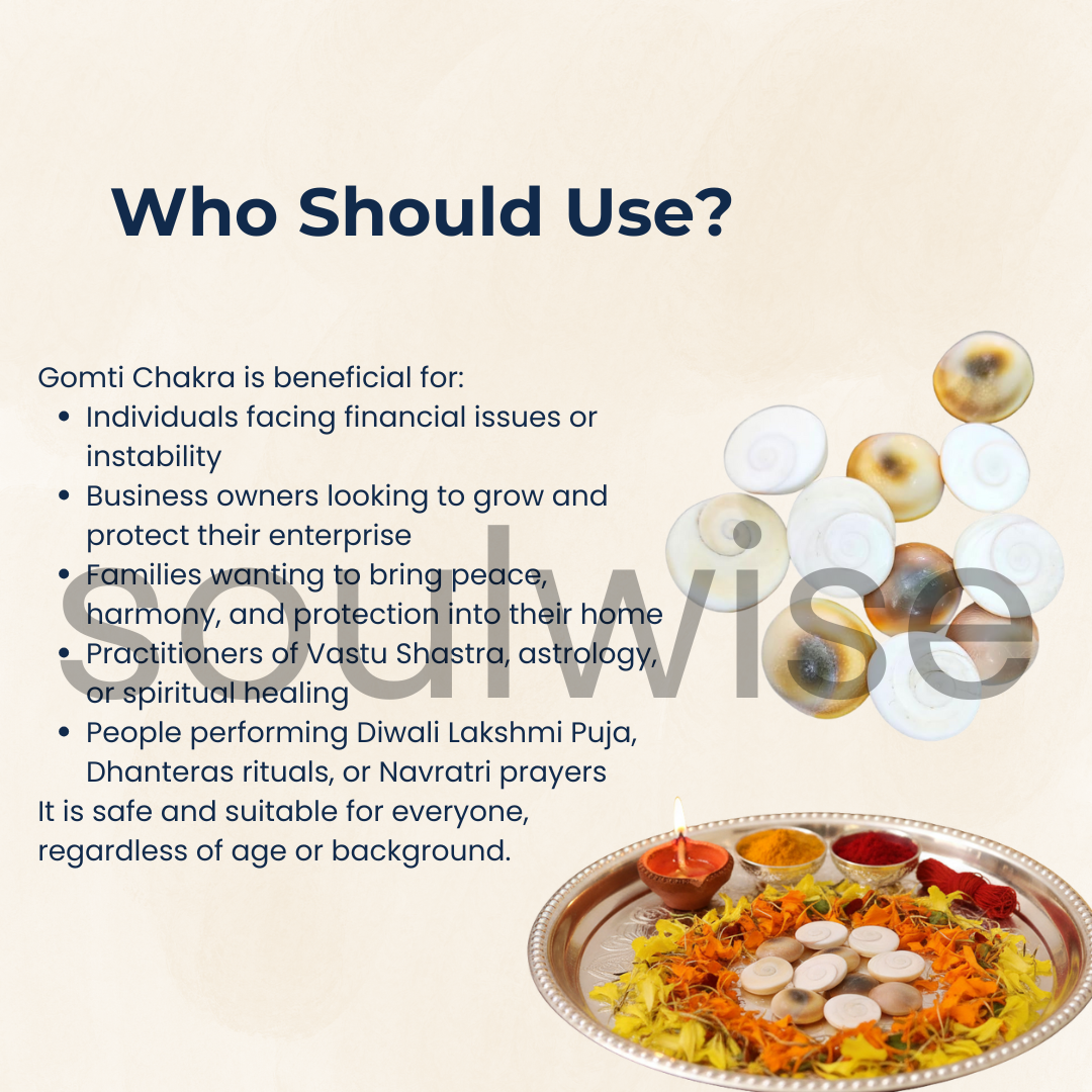 Gomti Chakra गोमती चक्र आध्यात्मिक शैल पत्थर , set of 11, for Diwali pooja, brings financial stability, wealth, and abundance, Removal of Obstacles.