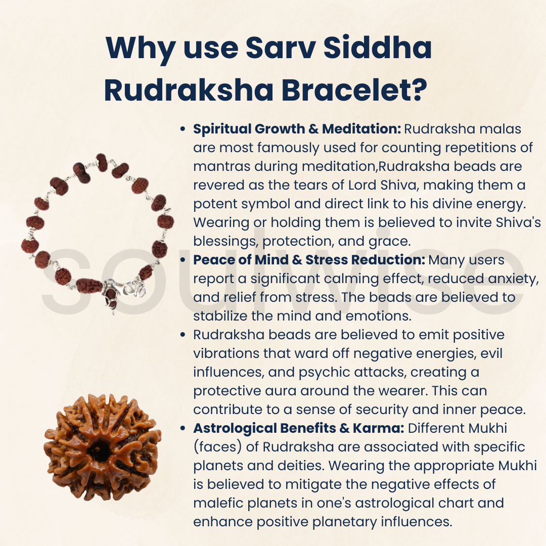 1 to 14 Mukhi Sarv Siddha Rudraksha Bracelet in Pure Silver | Natural Multi-Face Rudraksha for Spiritual Growth, Protection & Positivity | Energized & Blessed