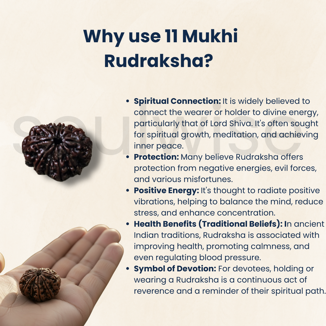 Certified 11 Mukhi Rudraksha Bead (Nepal Origin) | Lab Tested & Energized Eleven Face Rudraksha.
