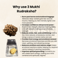 Premium 3 Mukhi Rudraksha | Natural & Lab Certified | Energized for Courage & Confidence | Comes in Box.