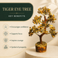 Tiger Eye Crystal Tree 8 Inch – Golden Brown Gemstone Tree for Home Décor, Office Desk & Spiritual Gifting