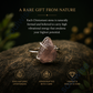 Chintamani Stone Ring – Adjustable Natural Gemstone Ring for Transformation, Wisdom & High Vibrational Energy