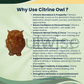 Citrine Owl – Natural Crystal Owl for Abundance, Prosperity, Success & Positive Energy | Spiritual Home & Office Décor
