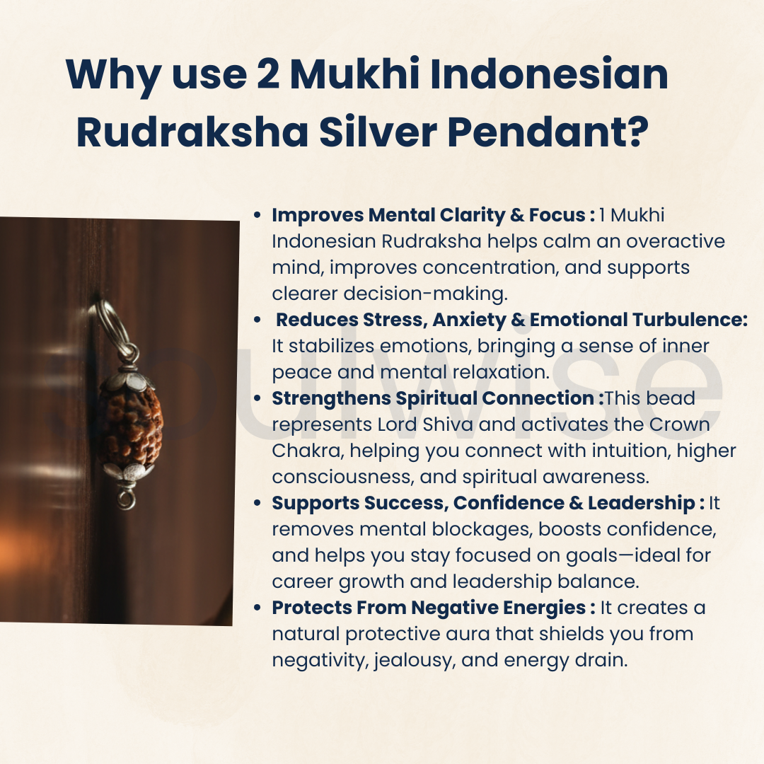 Original 2 Mukhi Indonesian Rudraksha Silver Pendant (Without Chain) – Do Mukhi Harmony & Unity Bead – Indonesia Origin