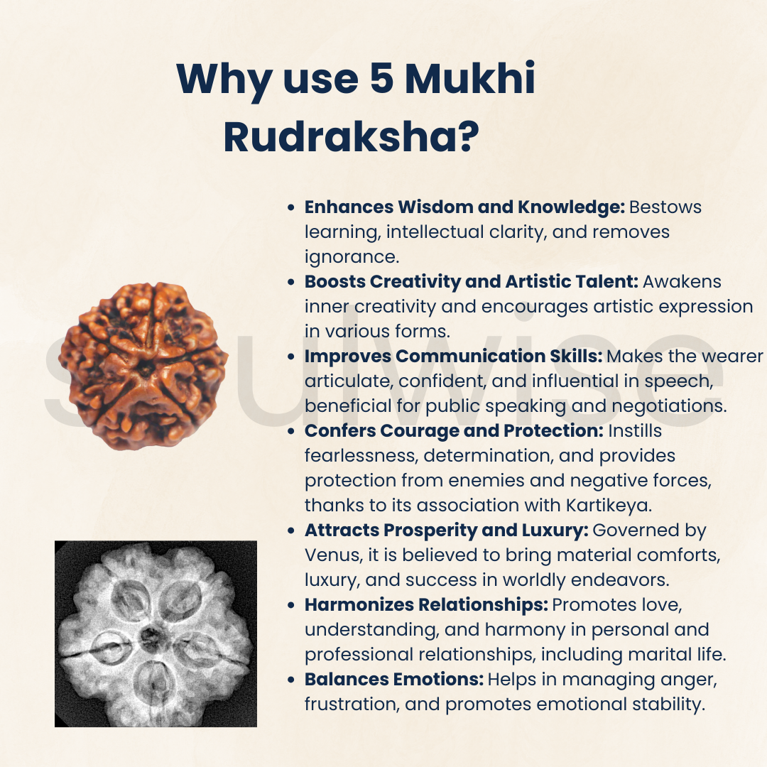 Natural 5 Mukhi Rudraksha | Panch Mukhi Rudraksha with Lab Certificate & X-Ray Report