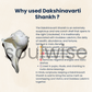 Dakshinavarti Shankh – 2 Inch Right-Handed Natural Conch Shell for Puja, Vastu, and Lakshmi Sadhana | Auspicious Hindu Spiritual Item for Home Temple & Wealth Rituals