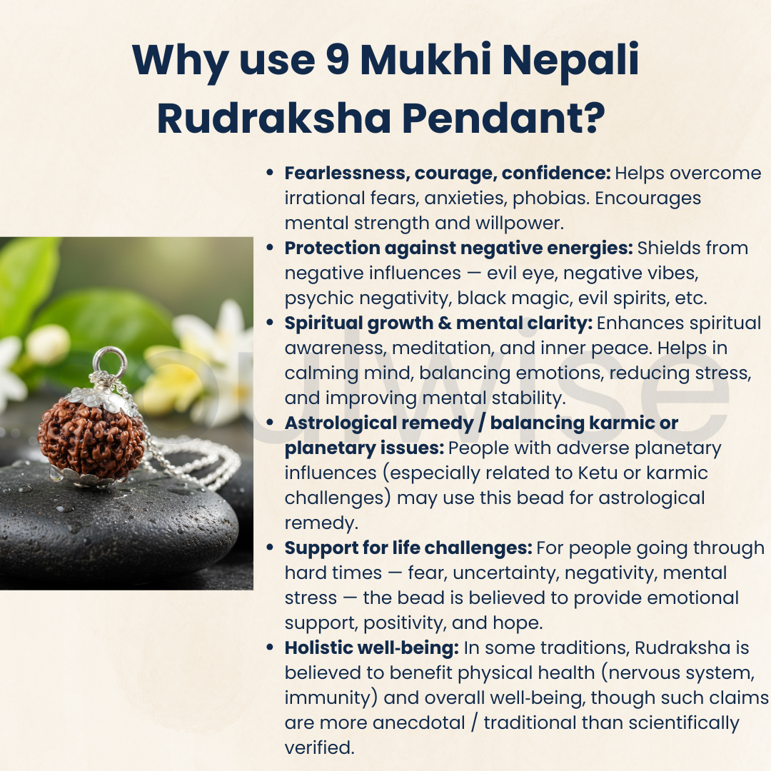 9 Mukhi Rudraksha Silver Pendant – Certified Nepalese Origin Bead for Strength, Protection & Positive Energy