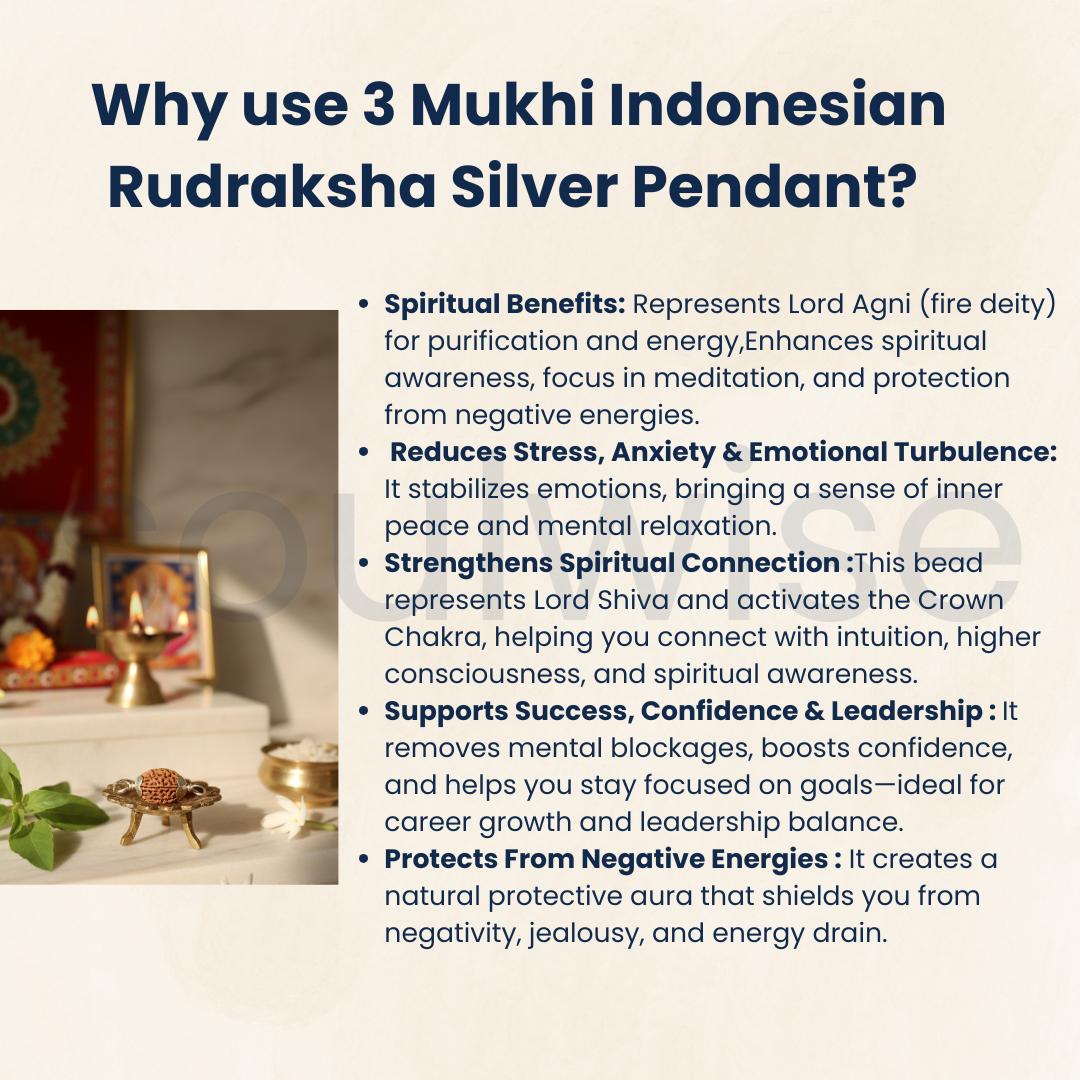 Original 3 Mukhi Indonesian Rudraksha Silver Pendant (Without Chain) – Teen Mukhi Agni Energy Bead – Indonesia Origin