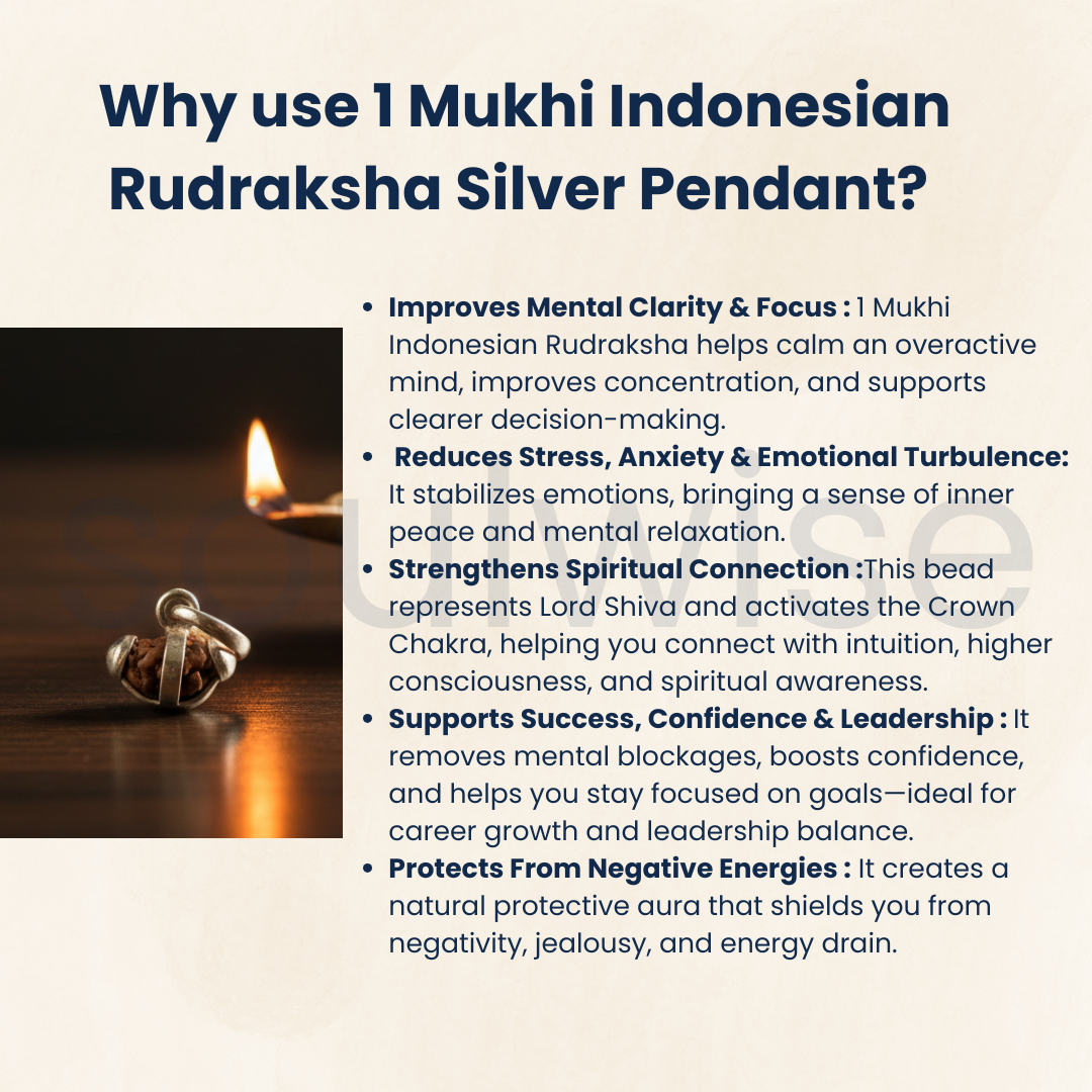 1 Mukhi Indonesian Rudraksha Silver Pendant (Without Chain) – Ek Mukhi Divine Energy Bead