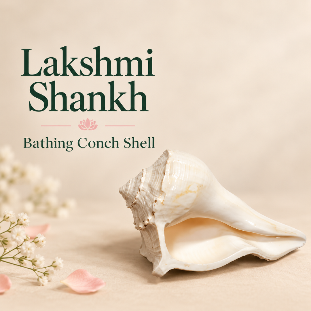 Shankh 5 Inch – Traditional Conch Shell for Home Mandir, Puja Display, Devotional Décor & Religious Gifting
