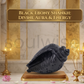Karungali Shankh – Sacred Karungali Wood Conch for Spiritual Protection, Positivity & Divine Blessings