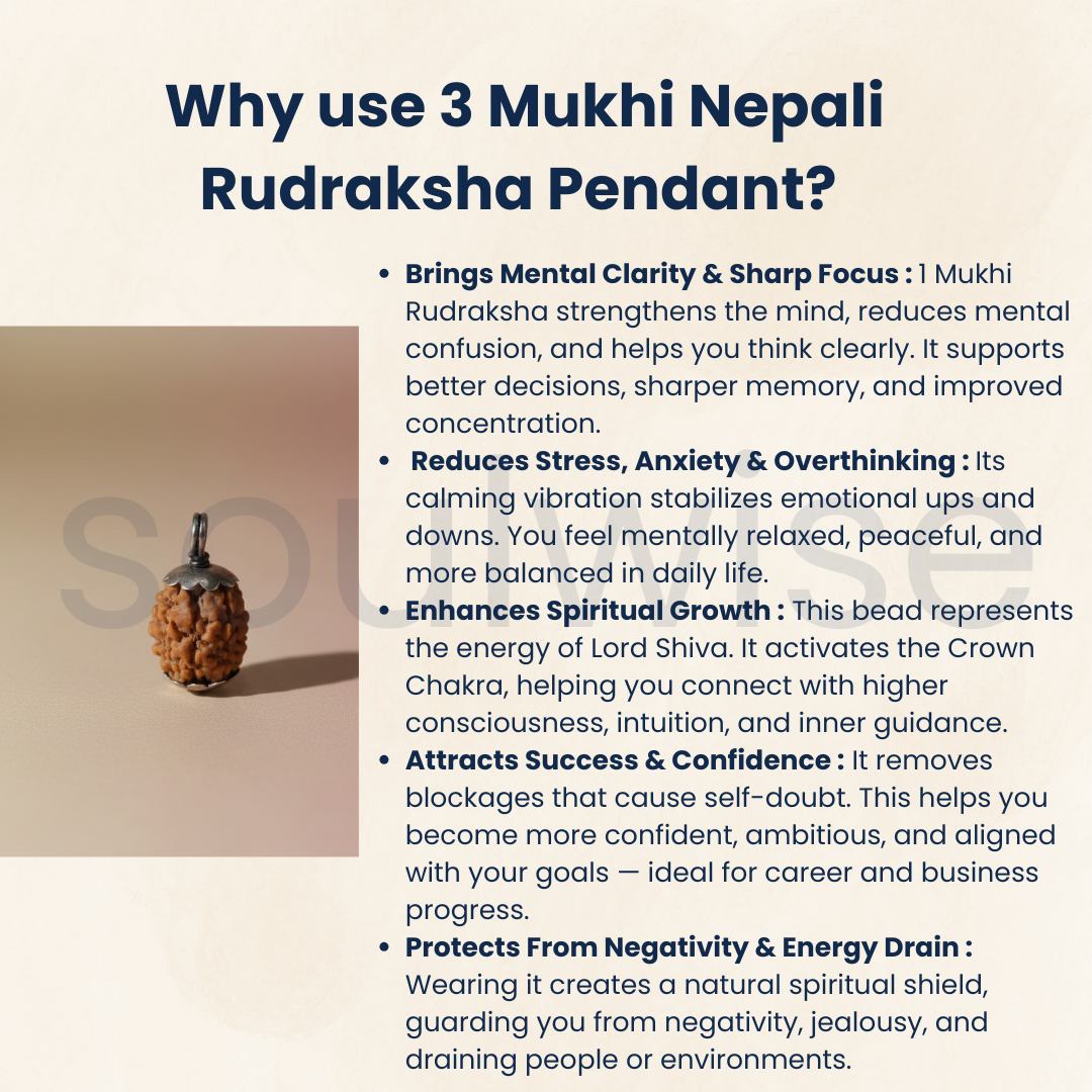 Original 3 Mukhi Nepali Rudraksha Silver Pendant (Without Chain) – Teen Mukhi Agni Energy Bead