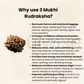 Natural 3 Mukhi Rudraksha | Genuine Nepali Three Mukhi Rudraksha Bead for Confidence, Health & Positivity | Energized & Ready to Wear
