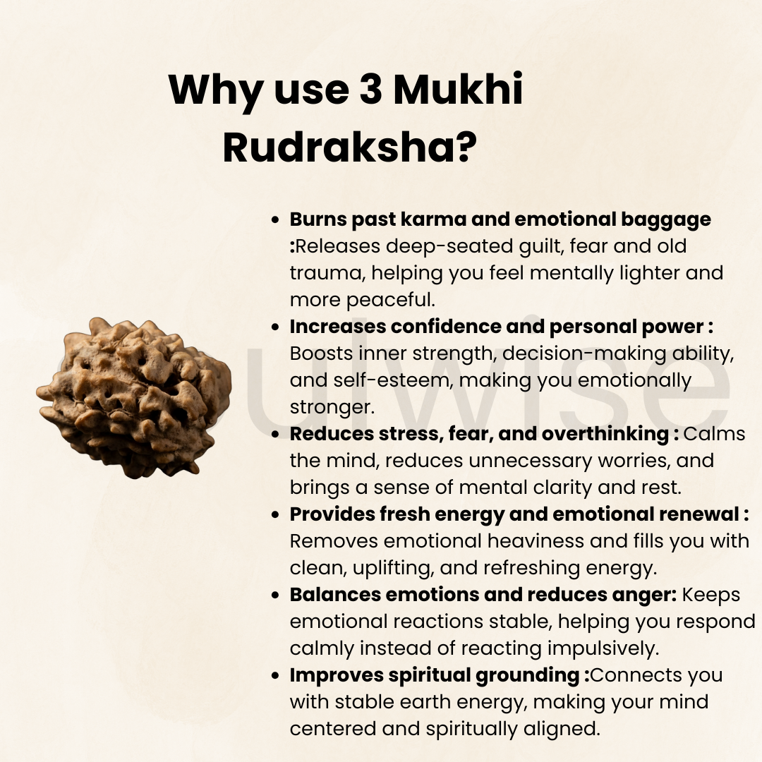 Natural 3 Mukhi Rudraksha | Genuine Nepali Three Mukhi Rudraksha Bead for Confidence, Health & Positivity | Energized & Ready to Wear