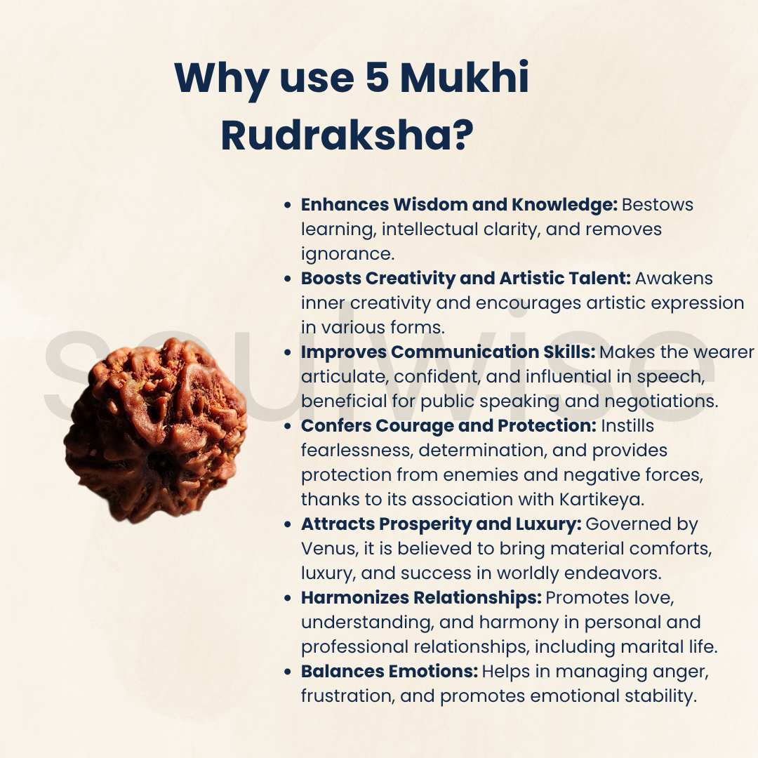 5 Mukhi Nepali Rudraksha — Certified Authentic Panch-Mukhi Spiritual Bead for Meditation & Protection.