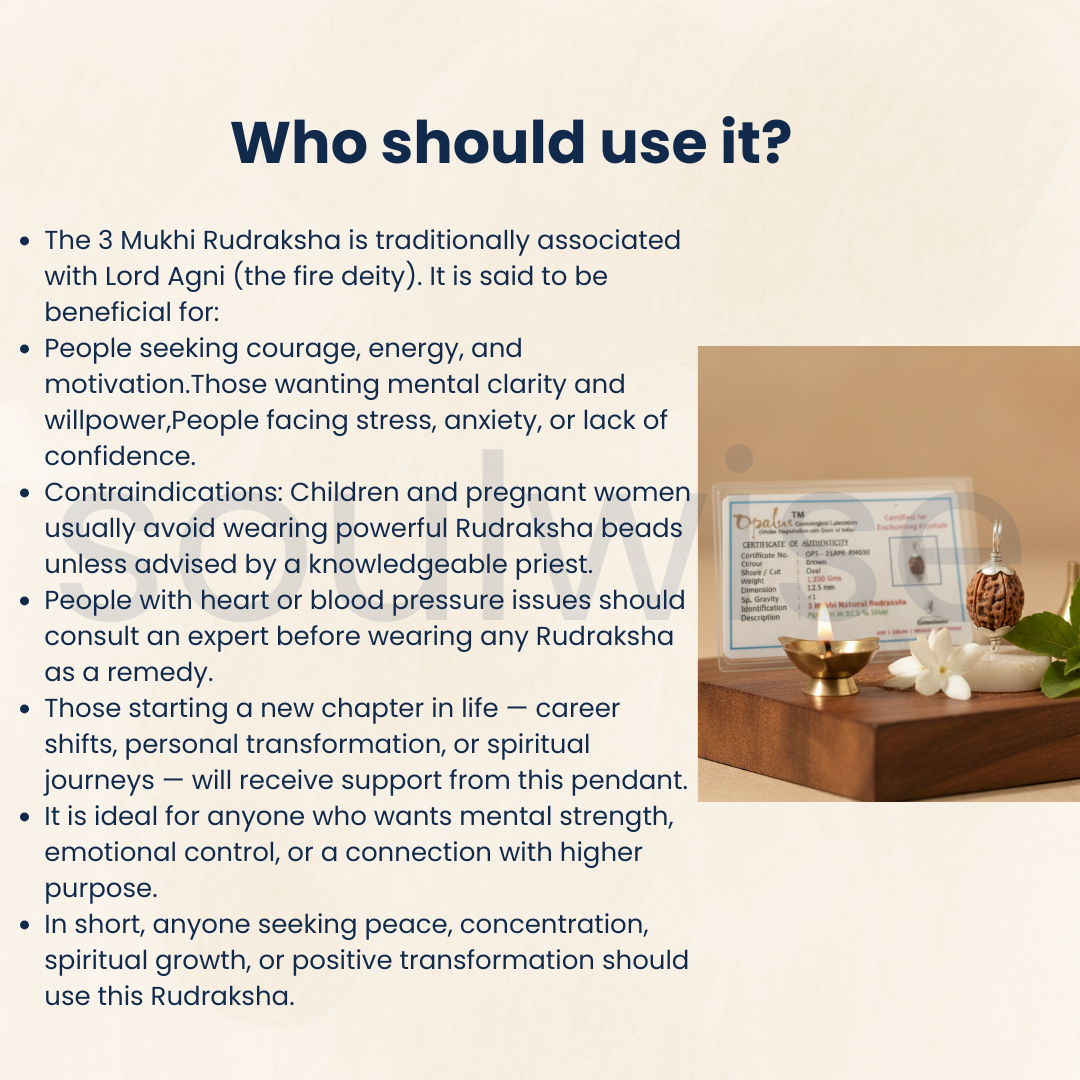 Original 3 Mukhi Indonesian Rudraksha Silver Pendant (Without Chain) – Teen Mukhi Agni Energy Bead – Indonesia Origin