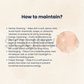 Soulwise Natural Rose Quartz Round Cabochon – Polished Circle Gemstone for Jewelry Making, Crystal Healing, Crafts – Flat Back – 1 Piece