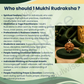 1 Mukhi Rudraksha Pendant Necklace – Sacred Bead for Spiritual Growth, Focus & Divine Blessings