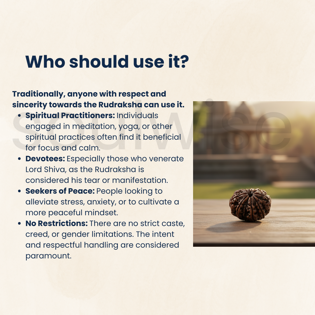 Certified 11 Mukhi Rudraksha Bead (Nepal Origin) | Lab Tested & Energized Eleven Face Rudraksha.