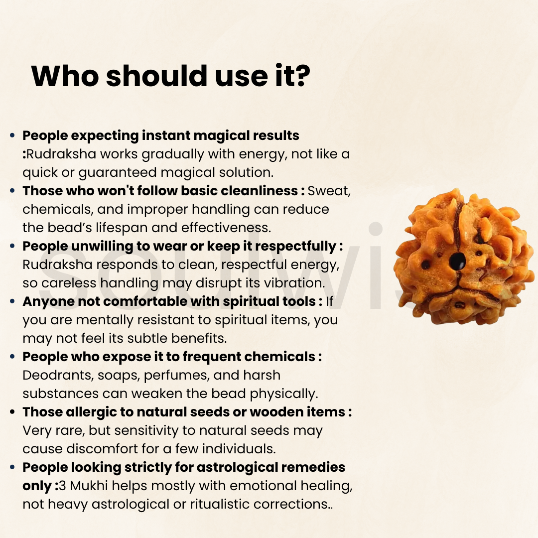 Natural 3 Mukhi Rudraksha | Genuine Nepali Three Mukhi Rudraksha Bead for Confidence, Health & Positivity | Energized & Ready to Wear