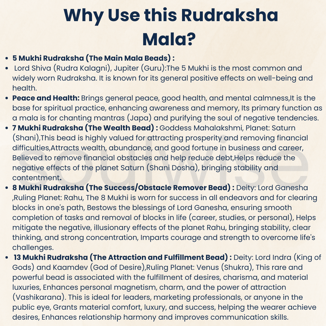 7, 7, 8, 13 Mukhi with 5 Mukhi Silver Nepali Rudraksha Mala – Spiritual & Protective Necklace